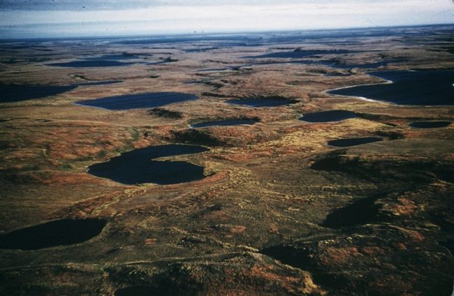 The tundra and lakes surrounding the site. Sept 1955.